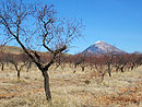 Sierra de la Sagra
, Granada